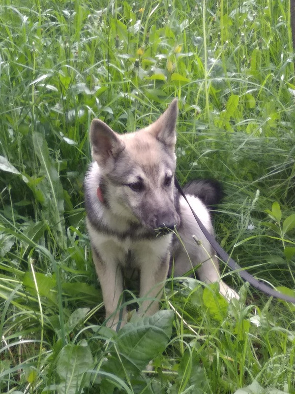 Дженни_05_18_1