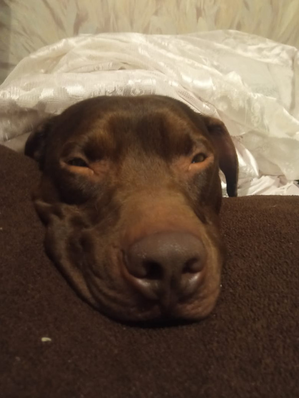 243B55C0-B5B4-4CD8-A23C-5AE45A92D5C2