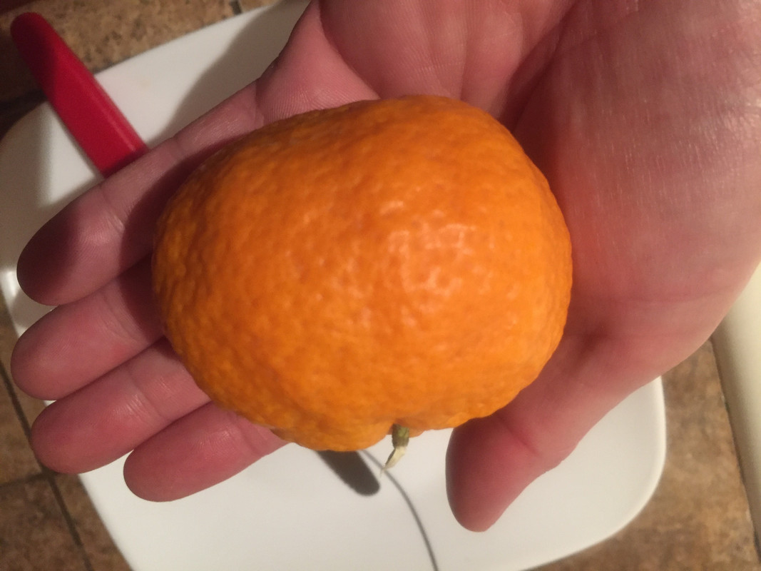 78EA5583-A516-4987-88B1-0977BFAA1819