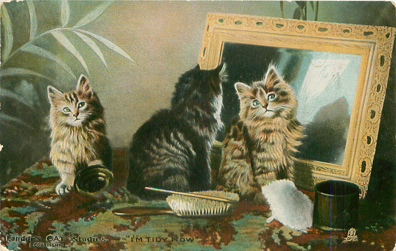 13-2011-06-15-17-32-19