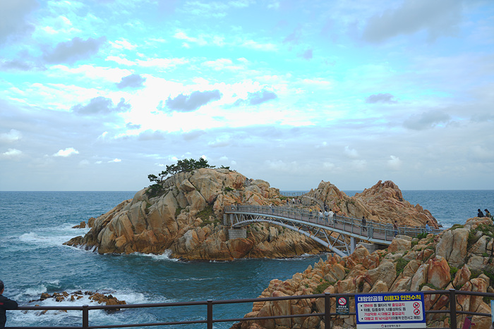 DSC02513