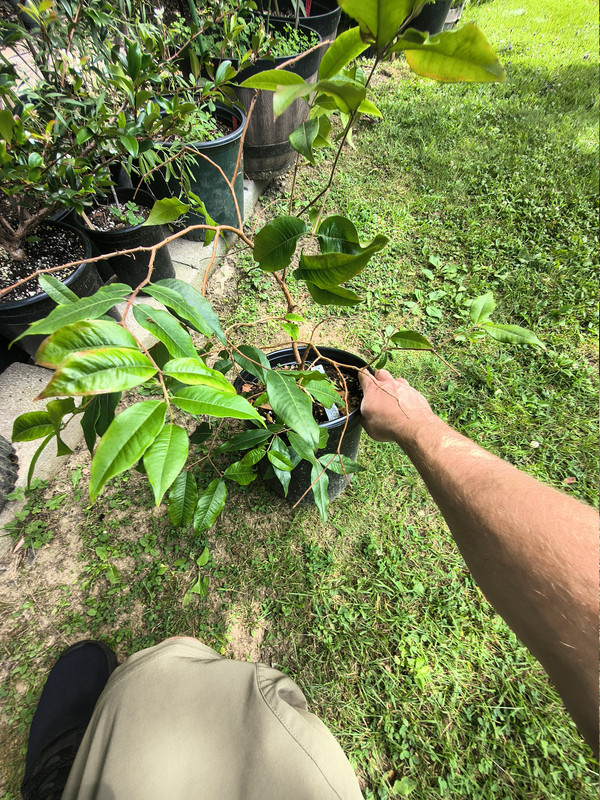IMG 20260703 110544927 HDR