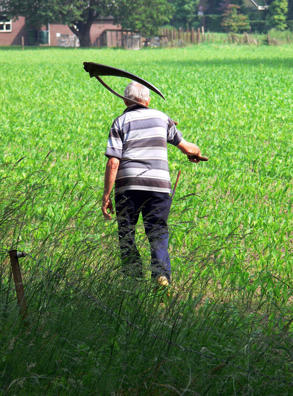 farmer-using-scythe.jpg