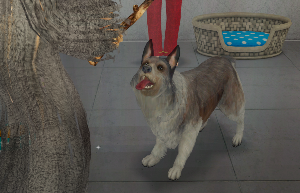 Sims2-EP9-RPC-2021-06-29-20-51-14-66