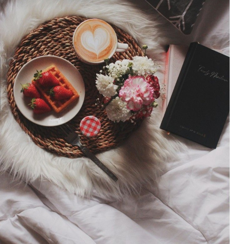 Screenshot_20230225_011843_Pinterest