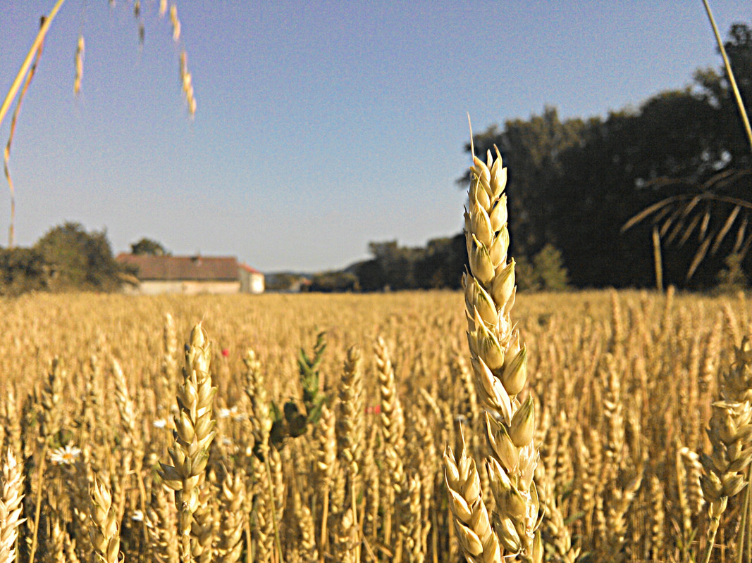 IMG_20130708_180948_20130708181638621