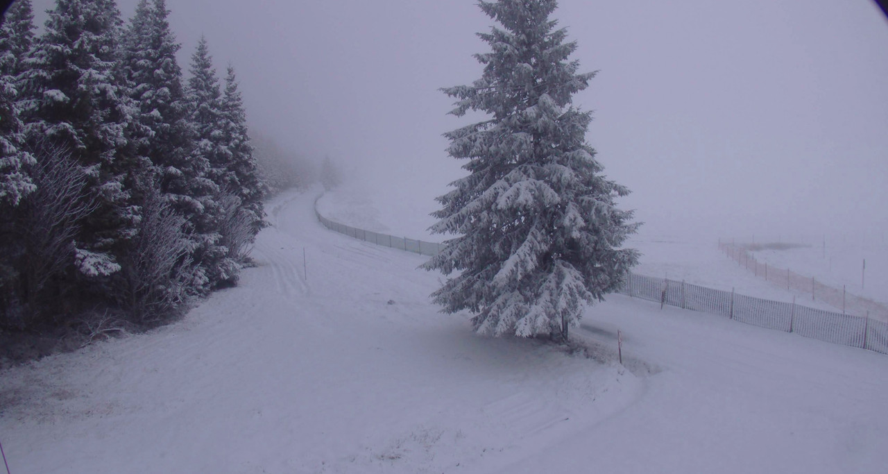 les-estables-ski-nordique-2023-12-14-09-