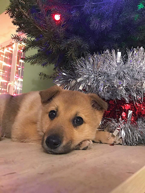 854B0DBD-8B9D-43DF-B7CB-00BC151FA654