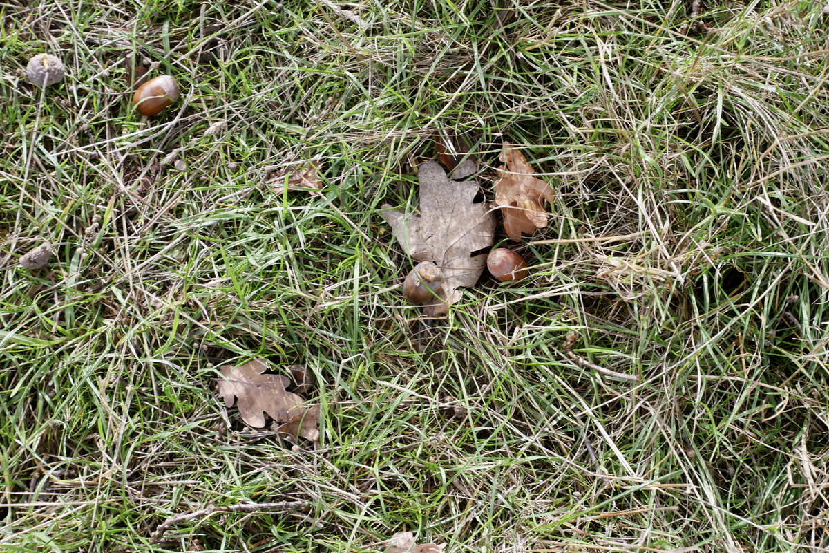 96B60E85-4FF1-4381-8C3C-BFF5E138D457