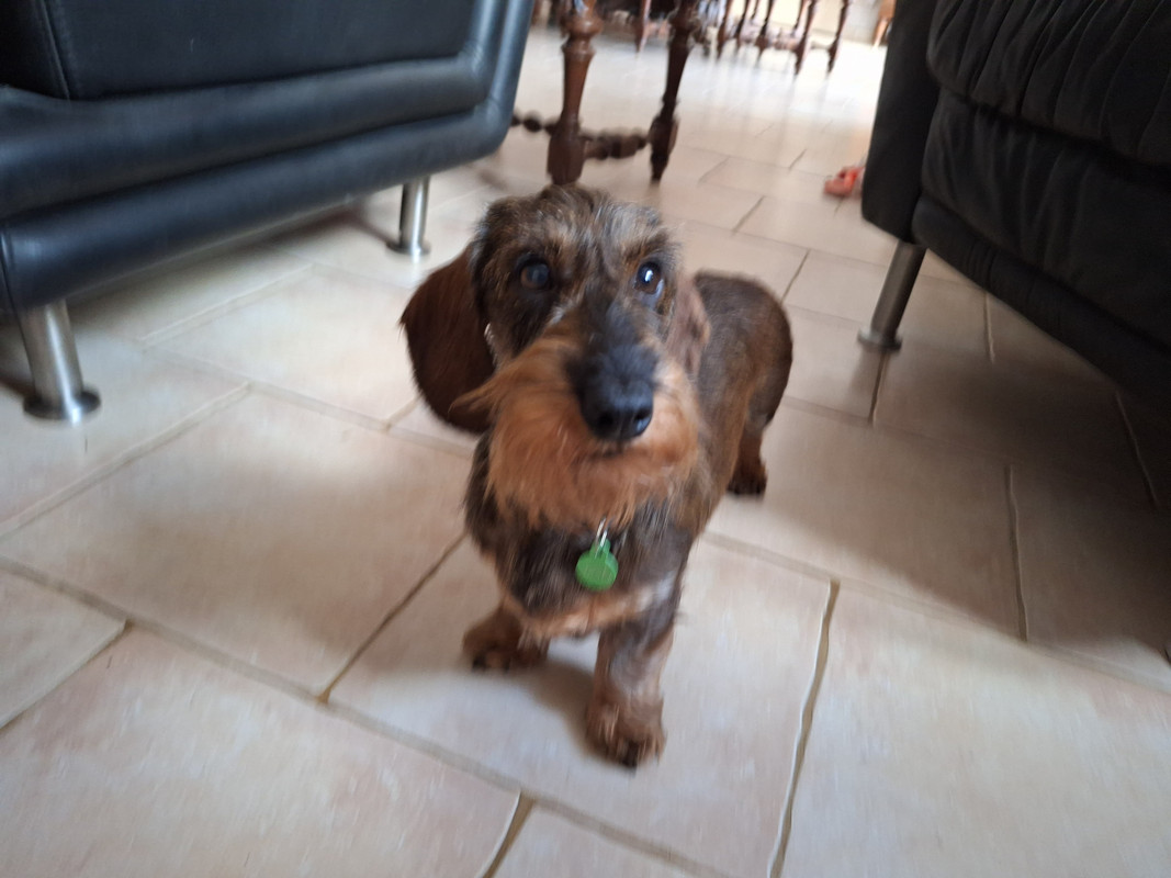 [Image: 20240428-172158-0.jpg]