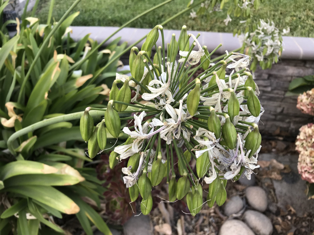 CFB3BEC4-862C-4E8A-B203-E3A0D9980251