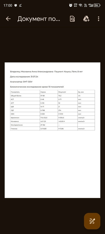 кошка кровь биохимия
