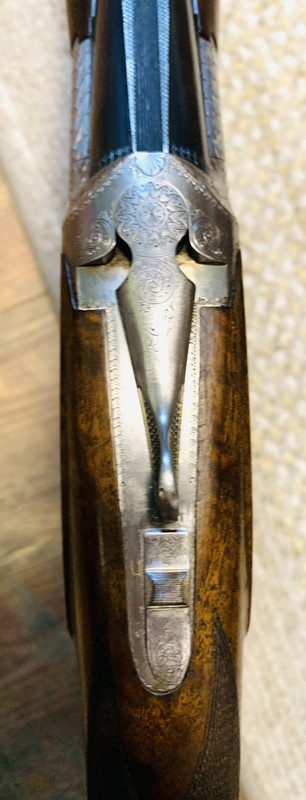 [Linked Image from i.postimg.cc]