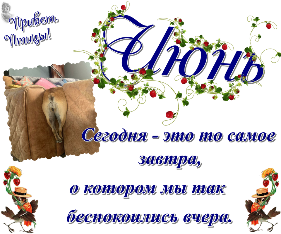 https://i.postimg.cc/gk31GD3C/08-06.png