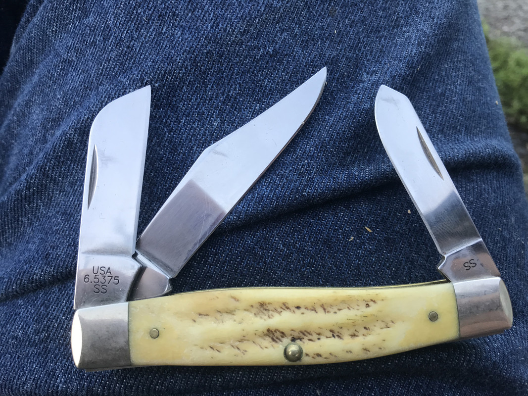 4AE11384-6568-47F6-9021-55C570BF5DC1