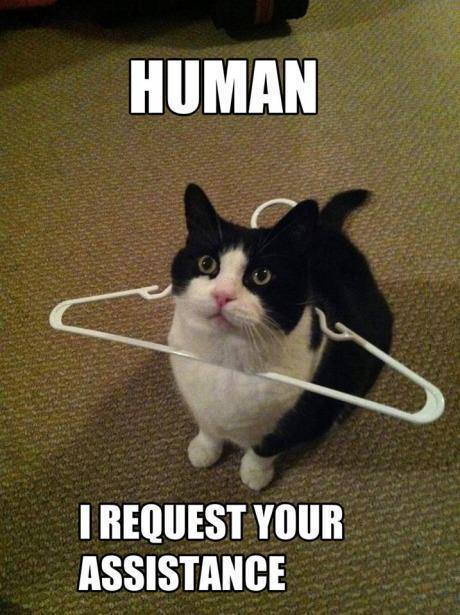 human-I-request-your-assistance.jpg