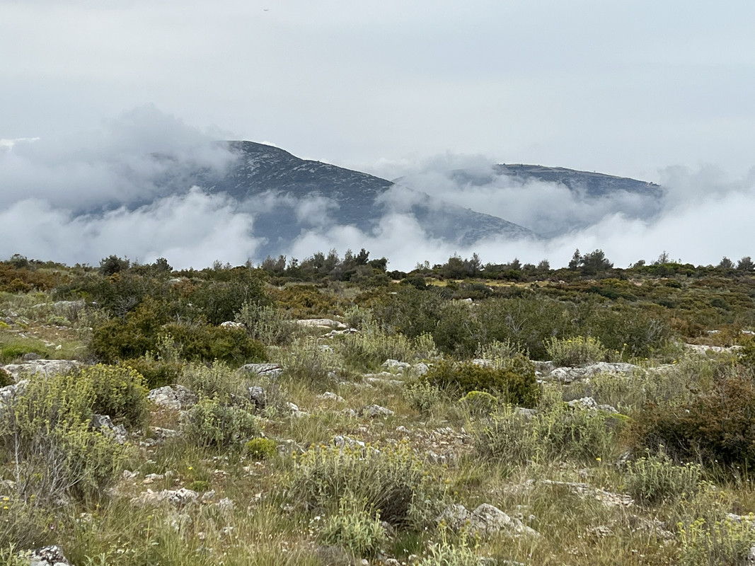 9909E557-FE51-40E4-83E3-6BC7A3E1D0B4