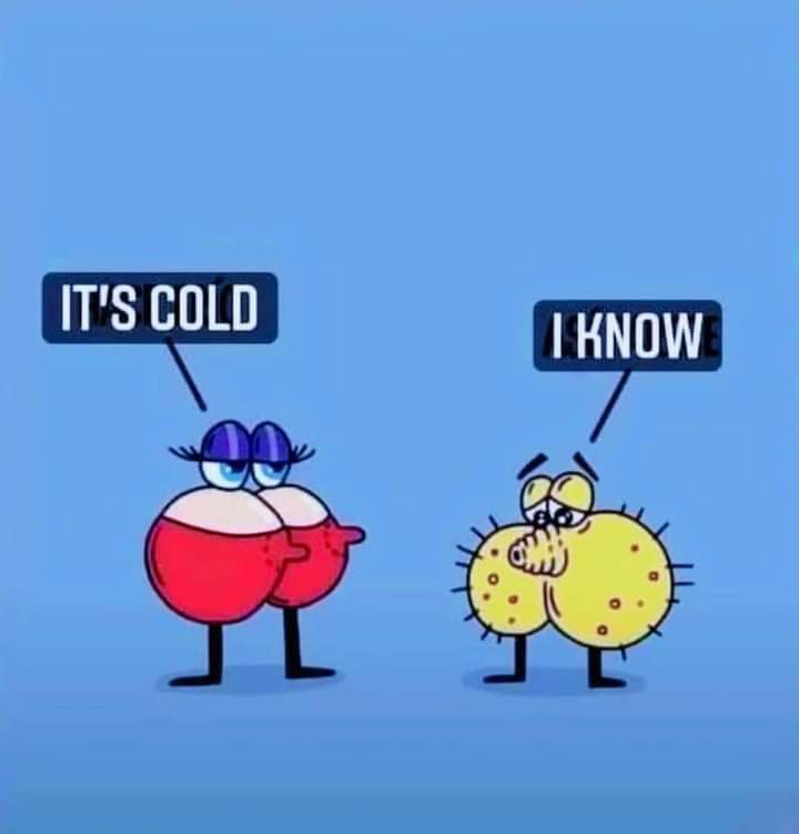 Whats-App-Image-2022-12-08-at-22-17-15.jpg