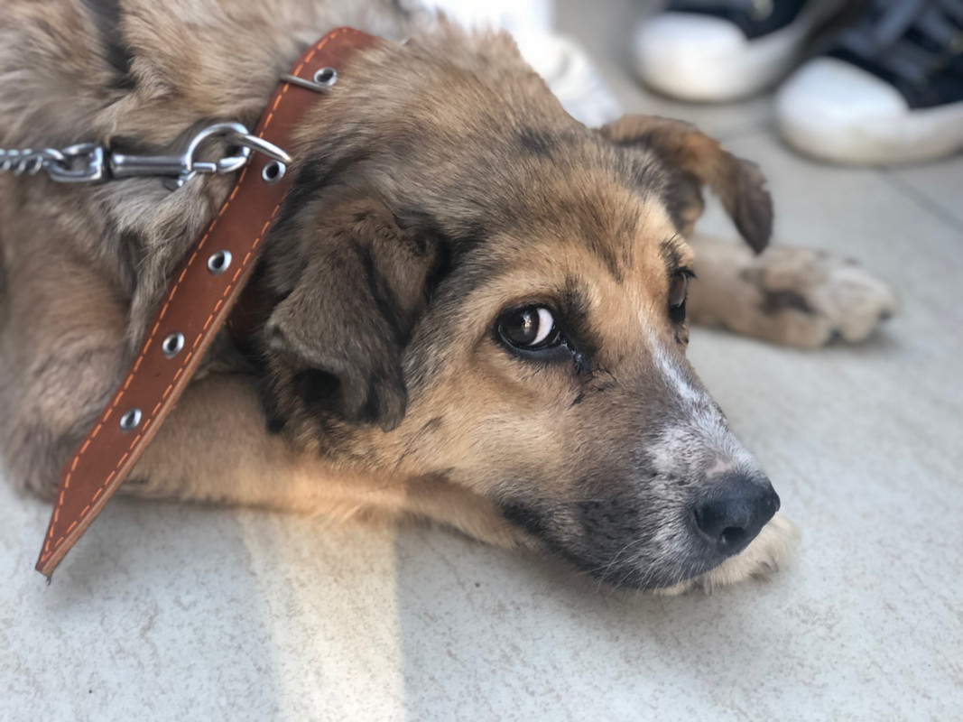 07E16383-C542-4C1D-9722-47626A0A7E12