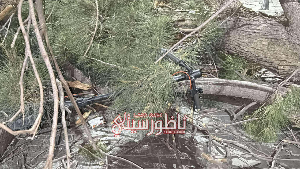 554080905-1346479623358046-7160699371101132802-n