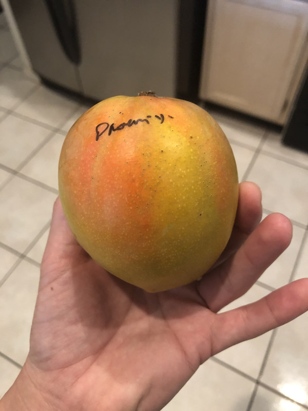 A1DD46F3-B61C-4594-8890-4BE8136DD723