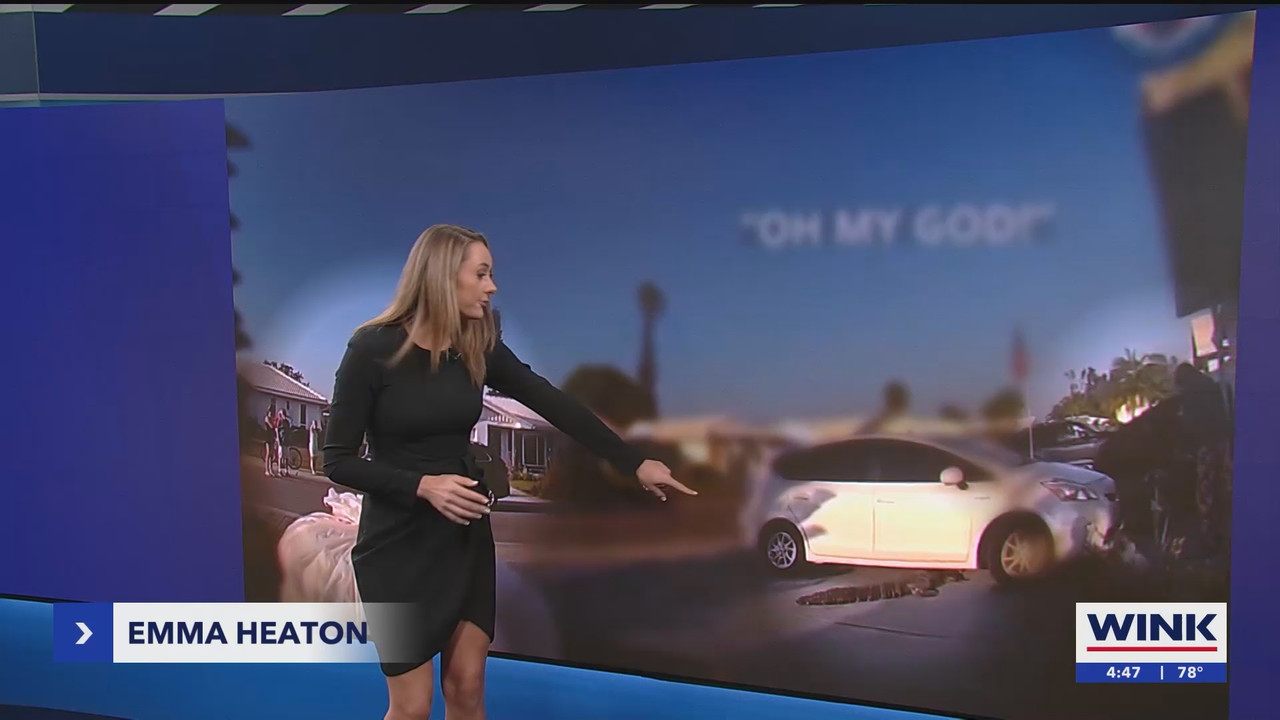 03.13 - 20.00.00 - WINK News at 4pm  ᴺᵉʷ. Local and regional news..ts_snapshot_00.48.22.708