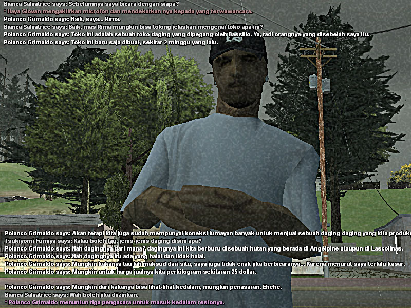 rp3.jpg