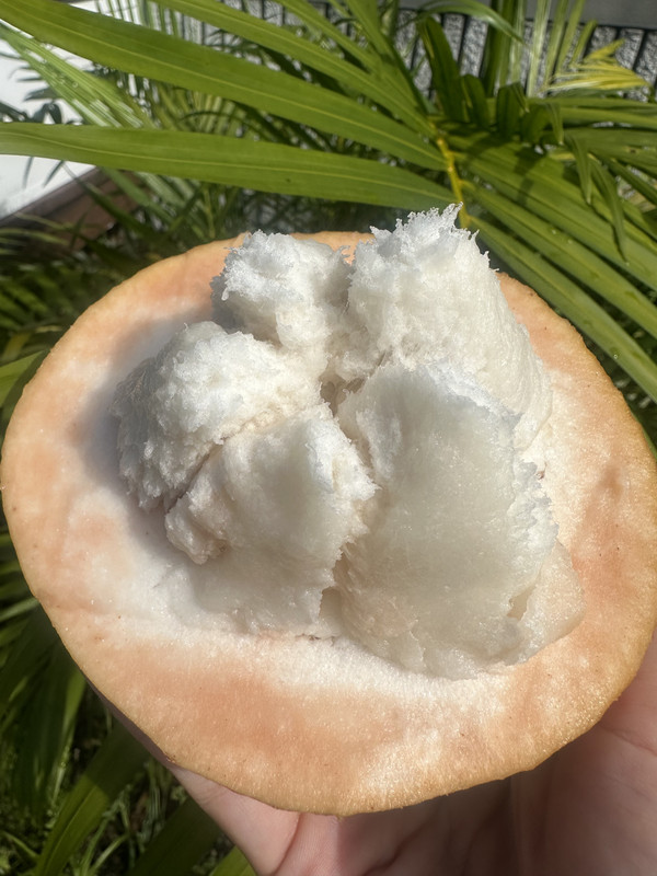 479B8605-FFA6-4410-A4D6-36B319DF9C33