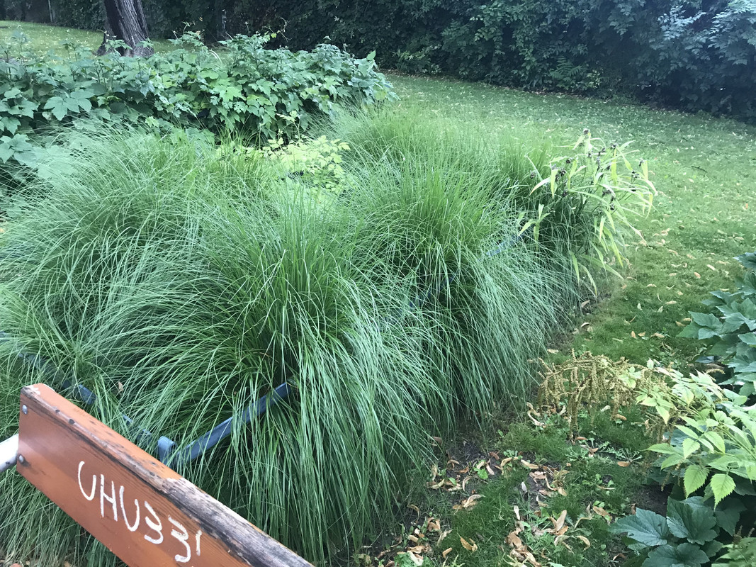 50ABC21E-ACCF-49DA-9774-F0F56B7D9D60