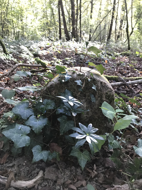 7106AA24-091D-4E85-8EE0-6A3E6D9D8EA9