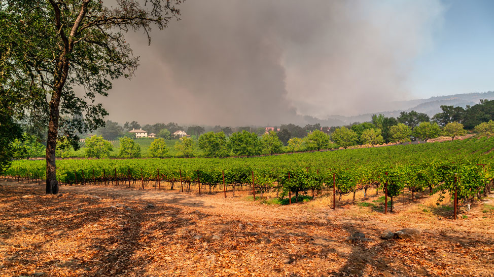 Climate Alter Arrangements through Natural Science