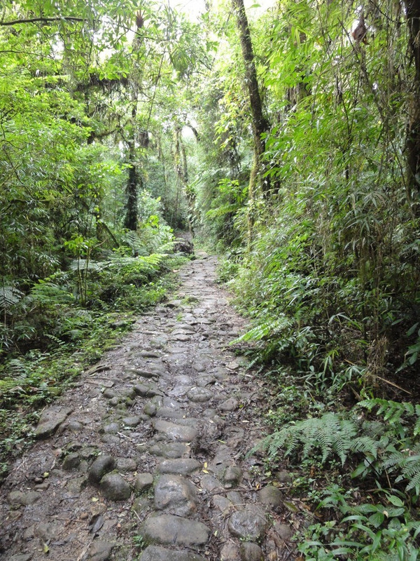 Caminho do Itupava