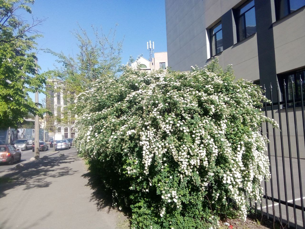 photo_2025-05-01 7.35.54 пп