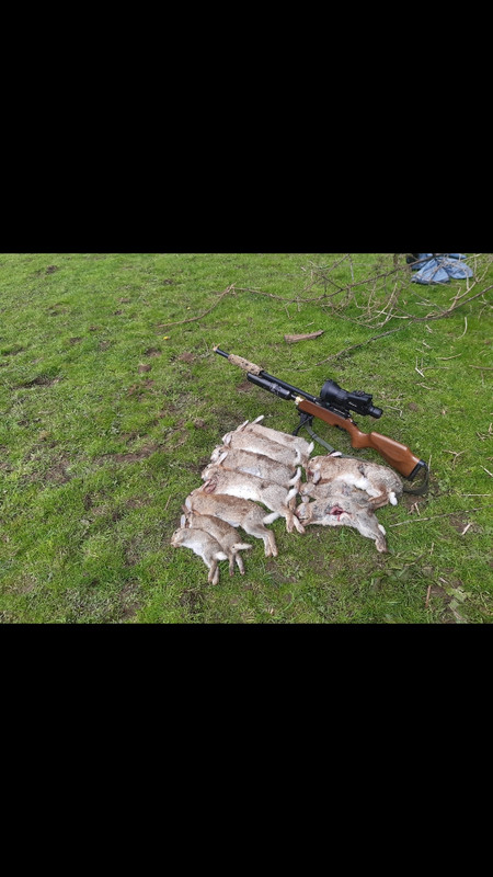 Screenshot_20230429-132107_WhatsApp