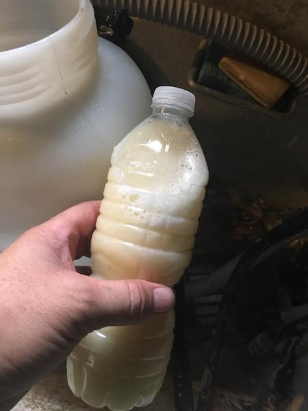 2017_Backyard_Seed_Down_Tenacity_3_small