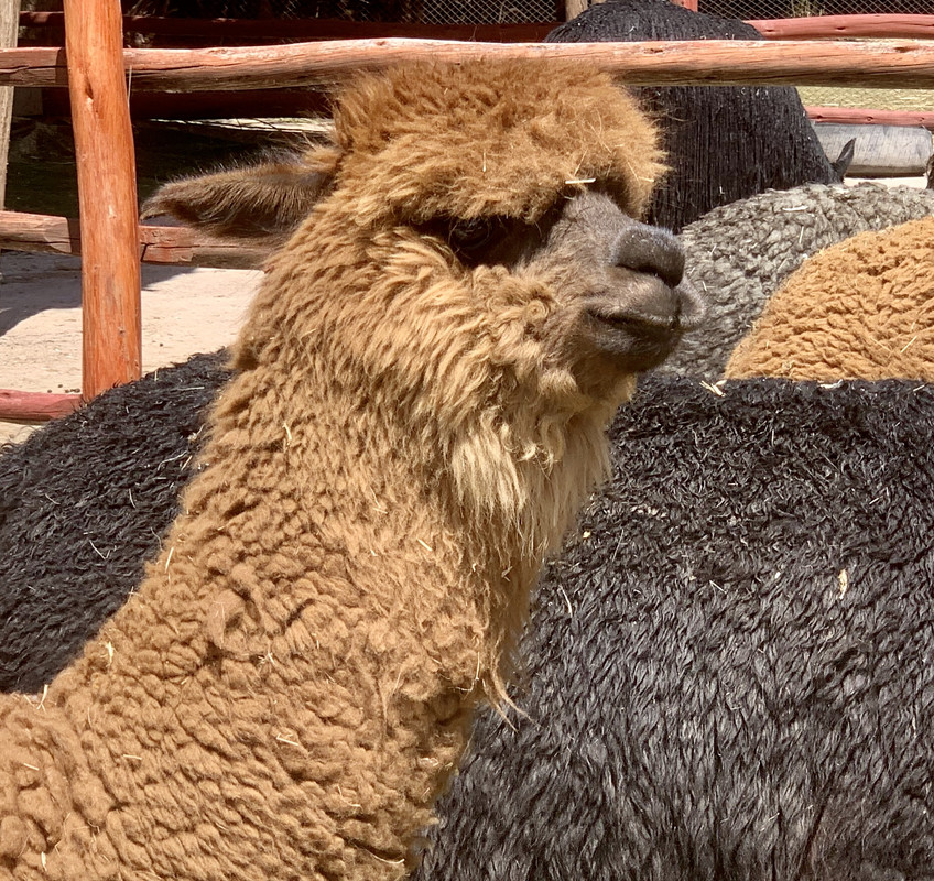 255C59CA-2B41-4127-A563-71A8379C913F