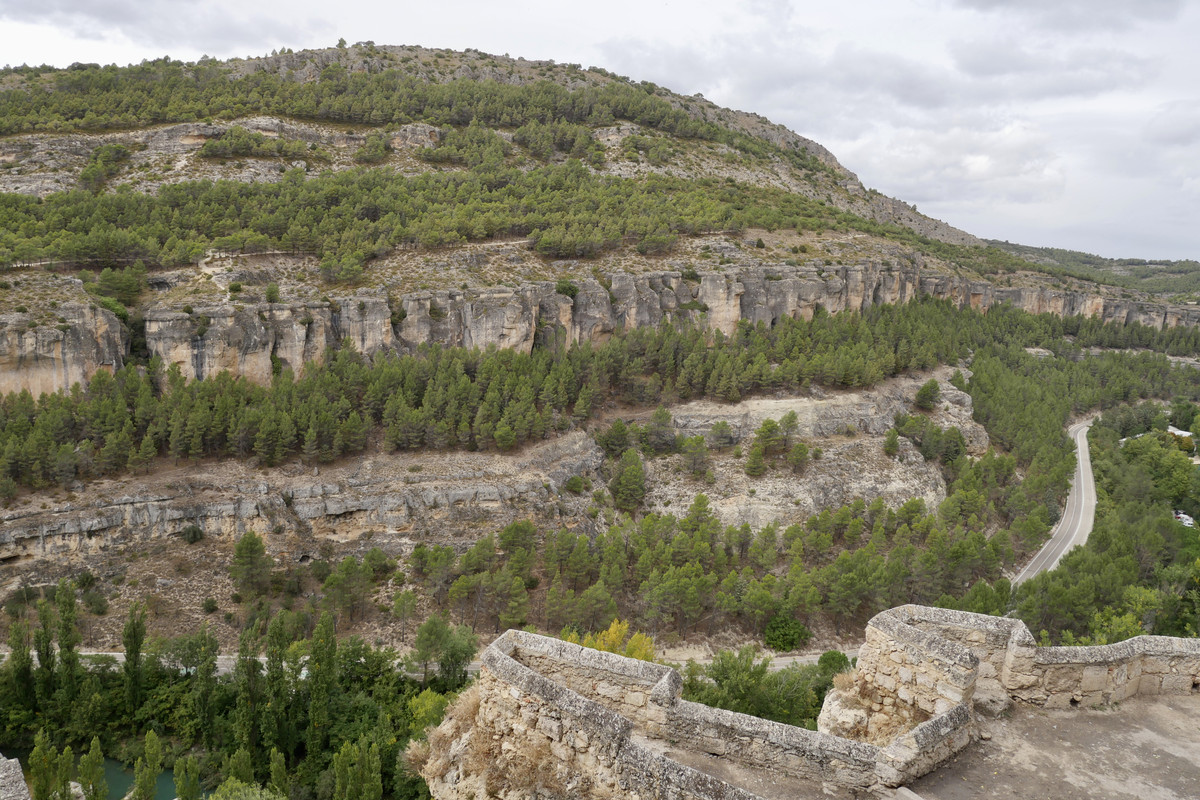 C964DE00-8872-4A22-83B5-71F2F935978E