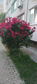 IMG_20230526_192552