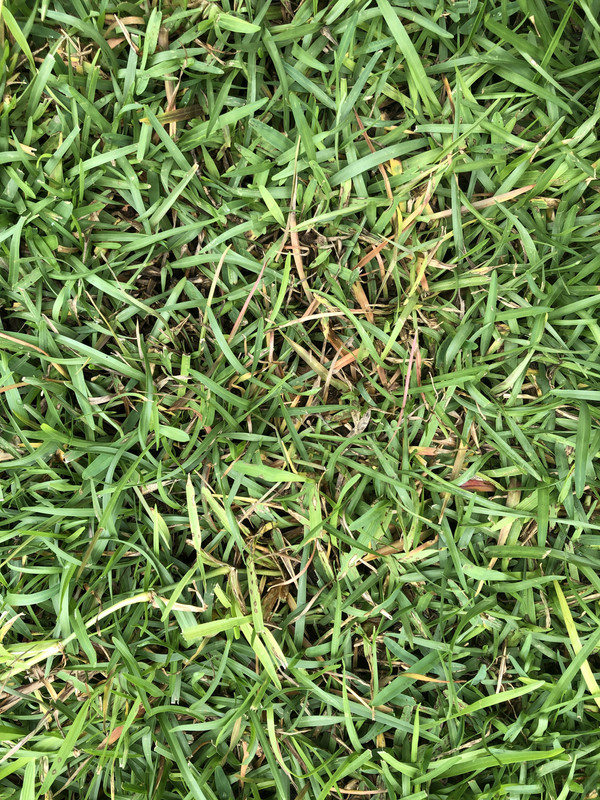 C74AC746-69D3-4066-98D3-46A598746A39