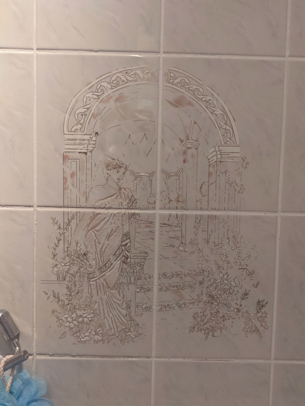 IMG_20211224_234835_tigr