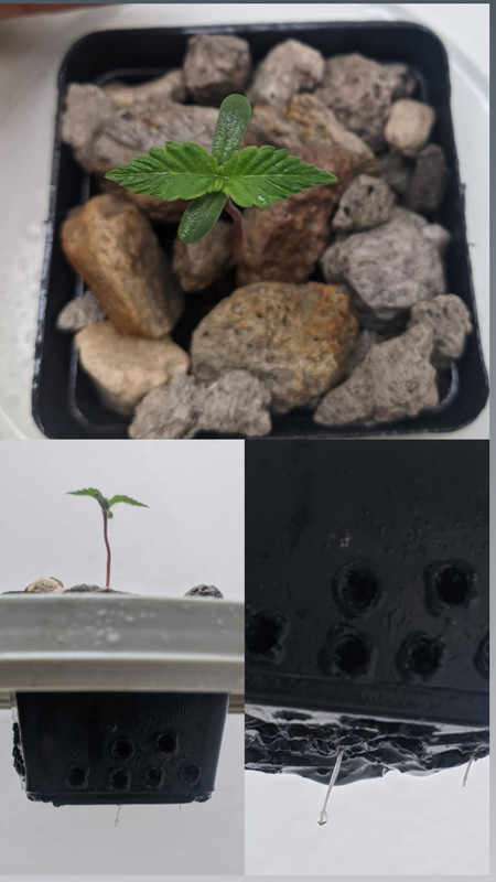 IMG_20230111_154315_760