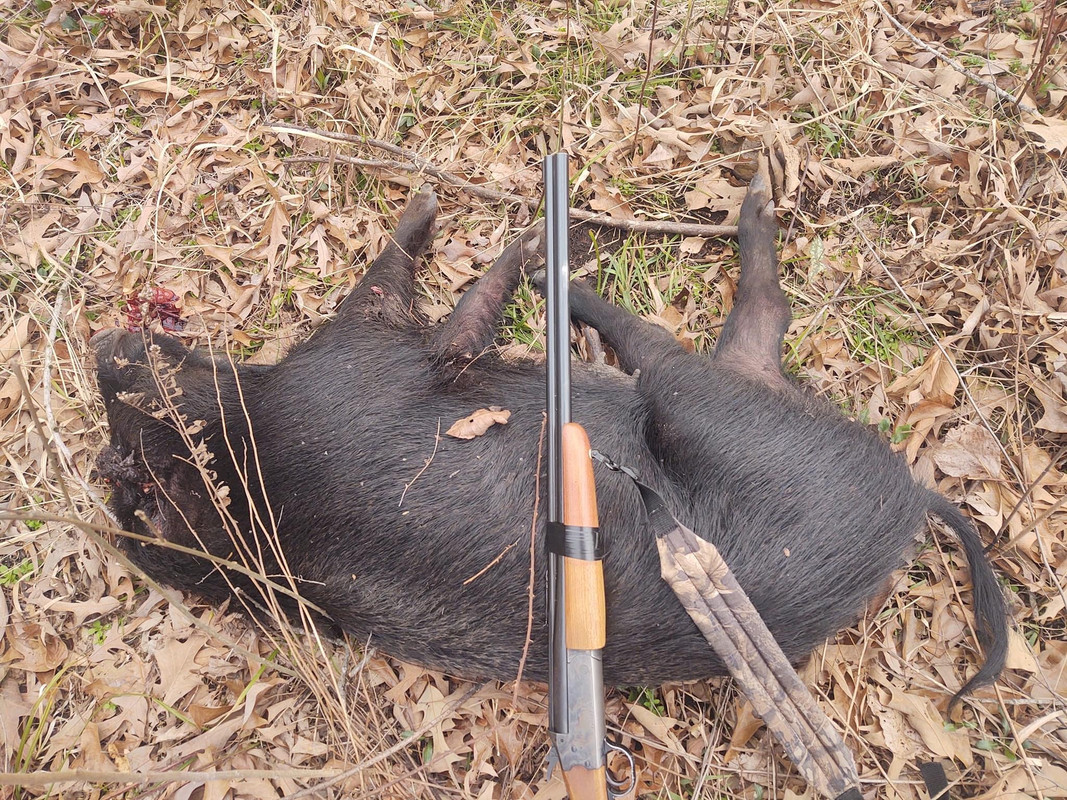 D570AB72-6EC5-4AA9-97A9-4920352562D3