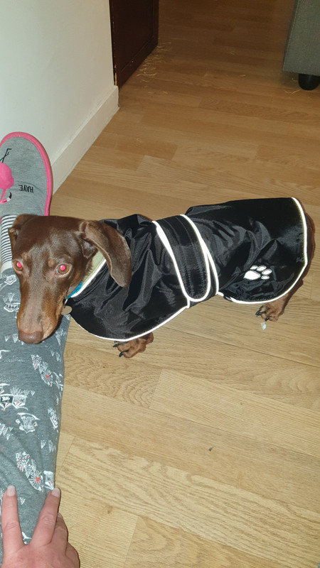 [Image: 20210108-203205.jpg]