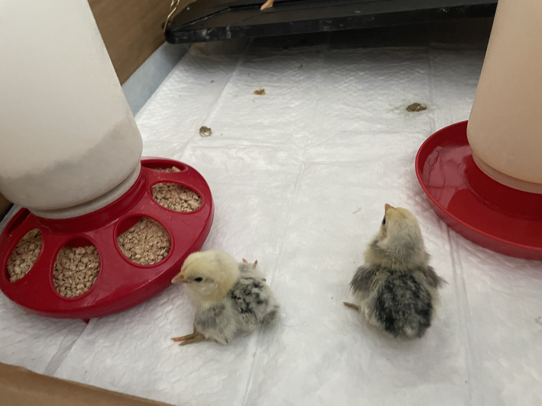 4595A640-80C7-4B55-A84A-99622ED8874C