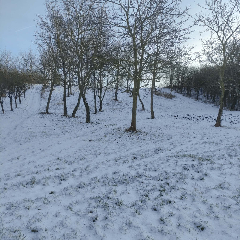 609245631 1249540860349498 3808004346514168761 n