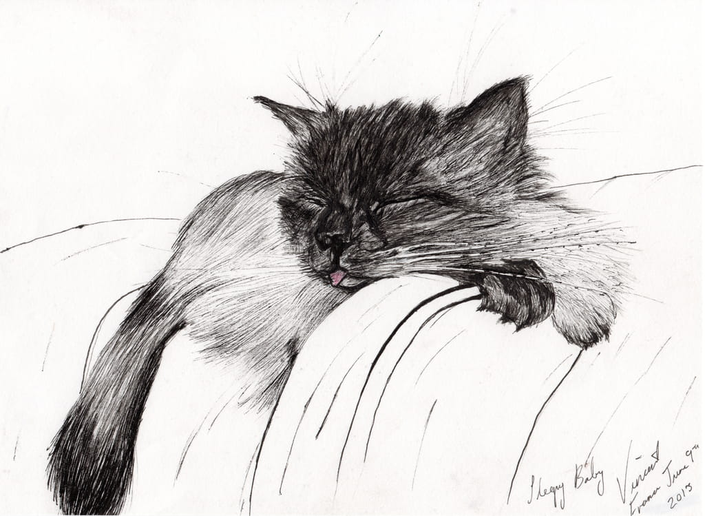 Vincent-Alexander-Booth-Sleepy-Baby-2013-ink-on-paper-Meister-Drucke-371710