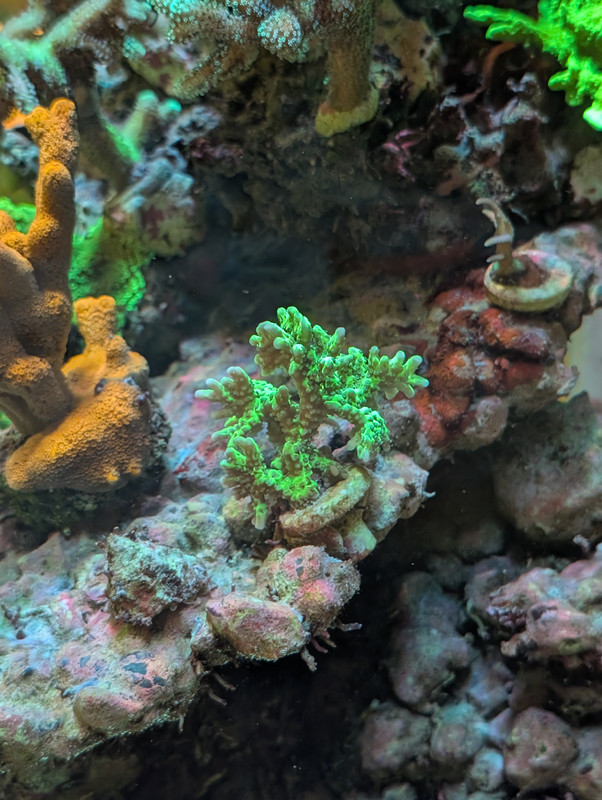 PXL 20260226 201528990 MP