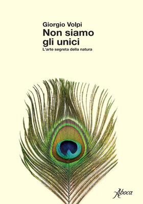 Giorgio Volpi - Non siamo gli unici (2026)