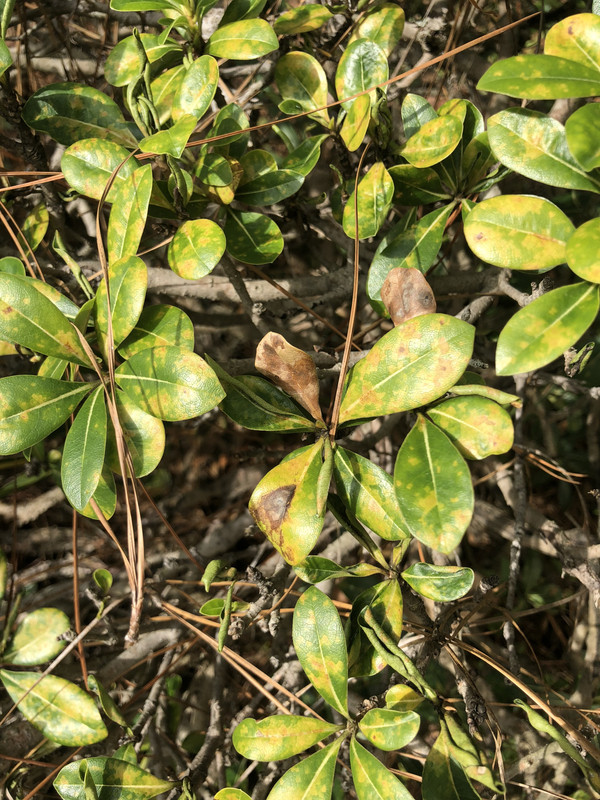 5A4C64B3-9400-4FCA-A790-76C40E2F0149