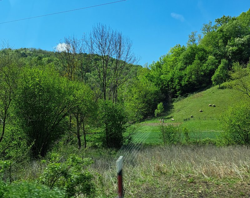 Slika